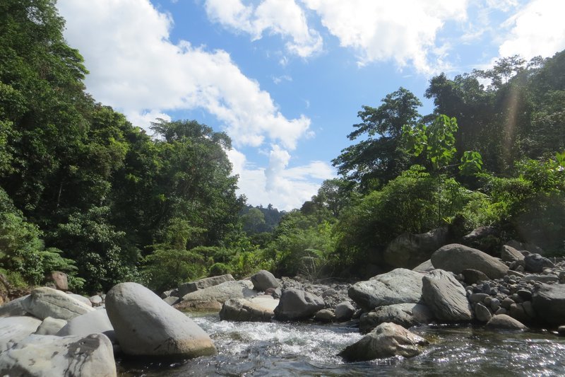 jungle day treks near padang with air manis hillside retreat padang west sumatra