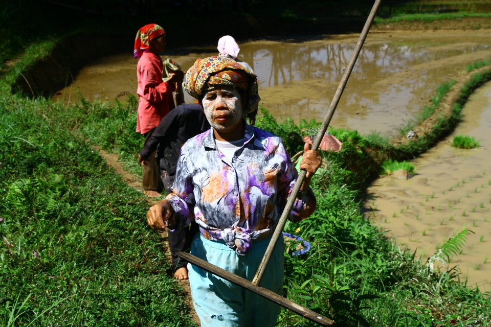 road trip to harau valley with air manis hillside retreat padang west sumatra