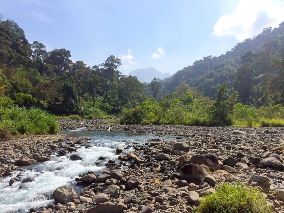 jungle day treks near padang with air manis hillside retreat padang west sumatra