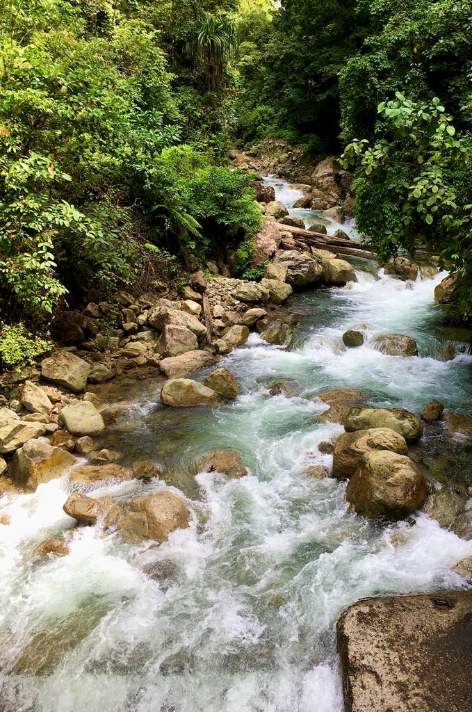 jungle day treks near padang with air manis hillside retreat padang west sumatra