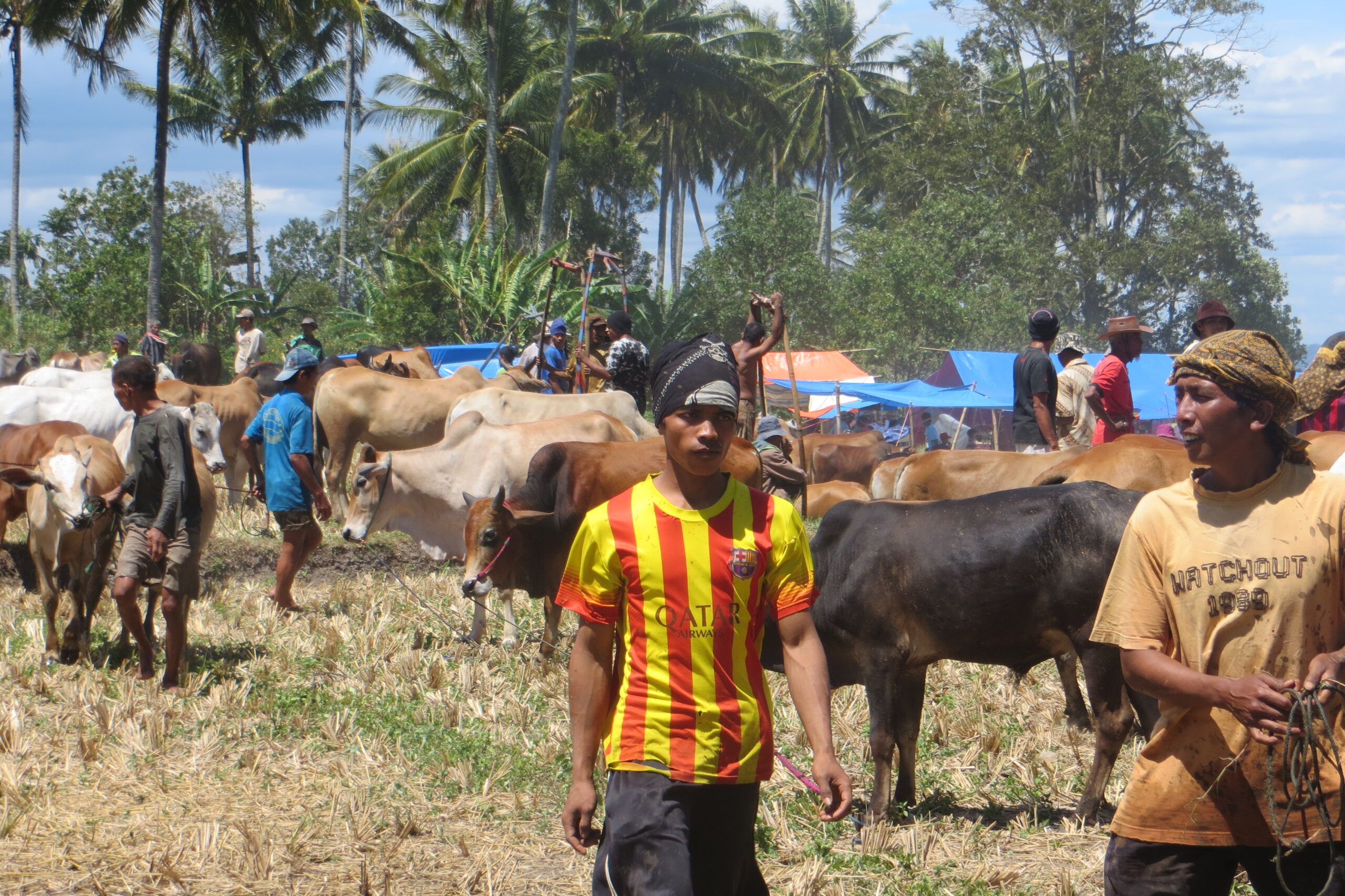 road day trip to pacu jawi with air manis hillside retreat padang west sumatra