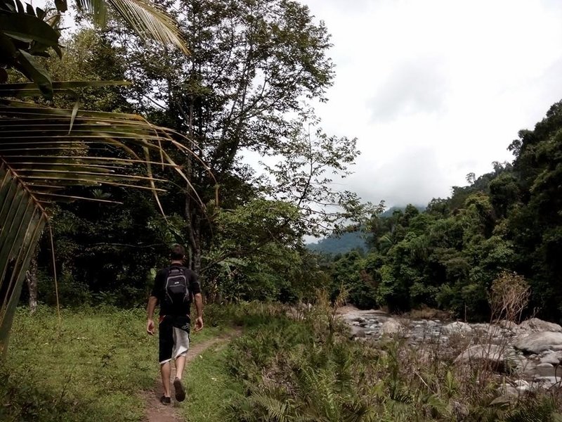 jungle day treks near padang with air manis hillside retreat padang west sumatra