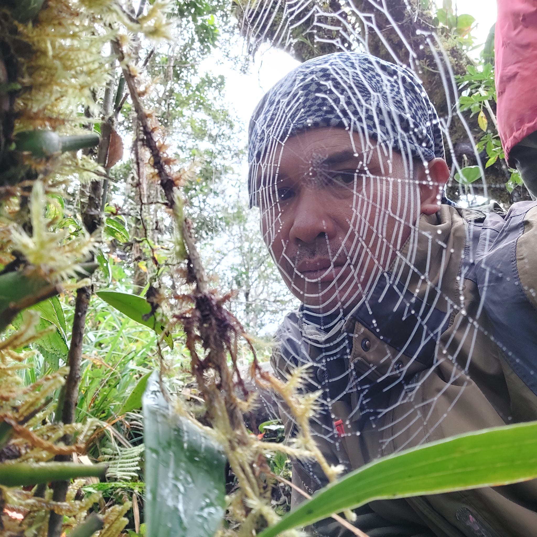 kerinci volcano climbing with air manis hillside retreat padang west sumatra