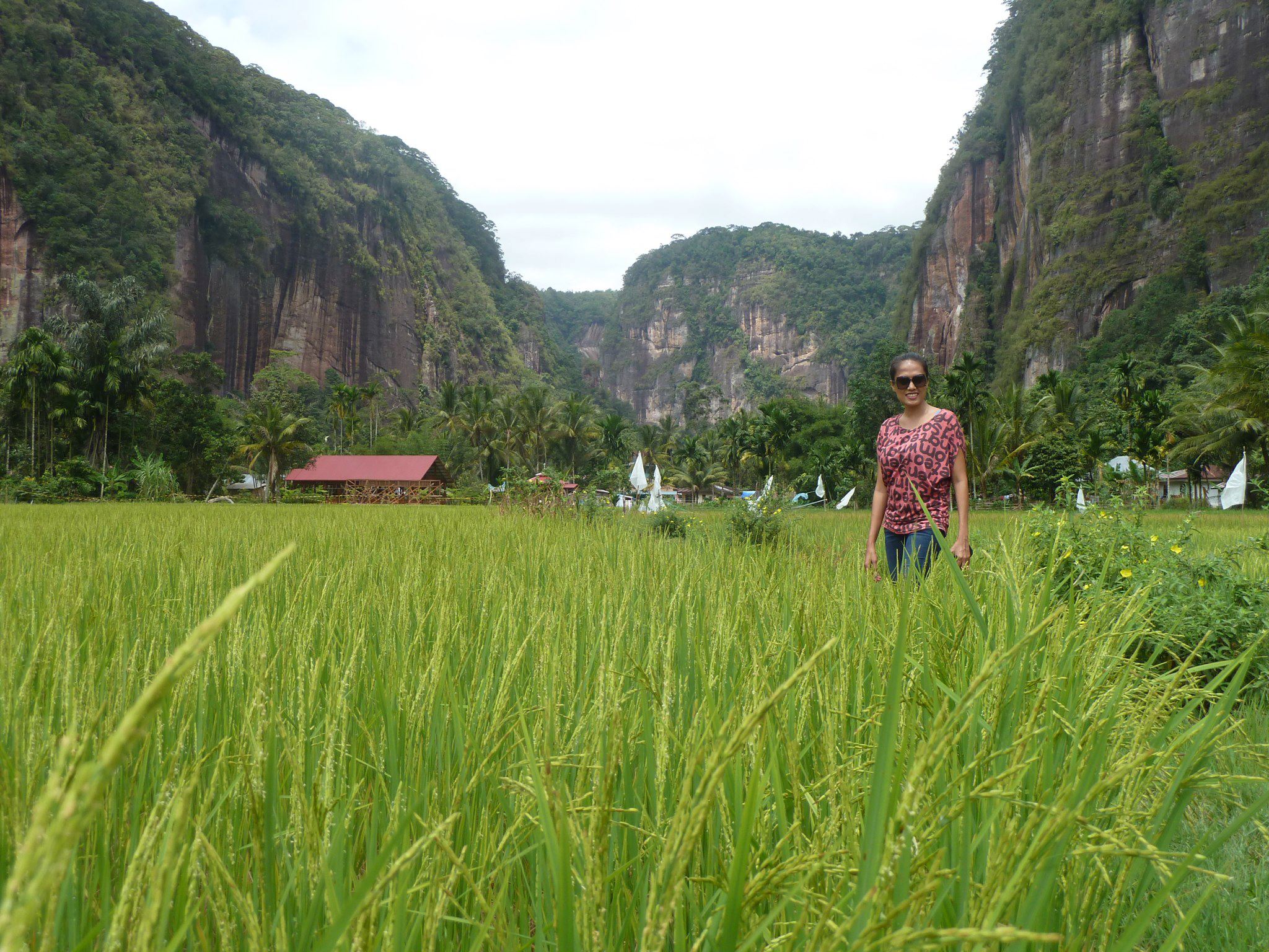 road trip to harau valley rumah gadang minangkabau with air manis hillside retreat padang west sumatra